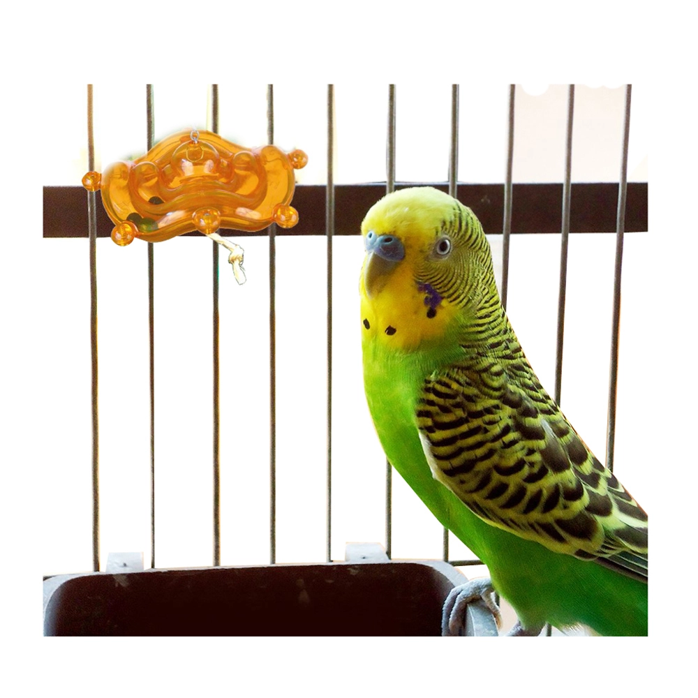 Featherland Paradise Silly Saucer Bird Toy Small 8 X 3cm - Image 2