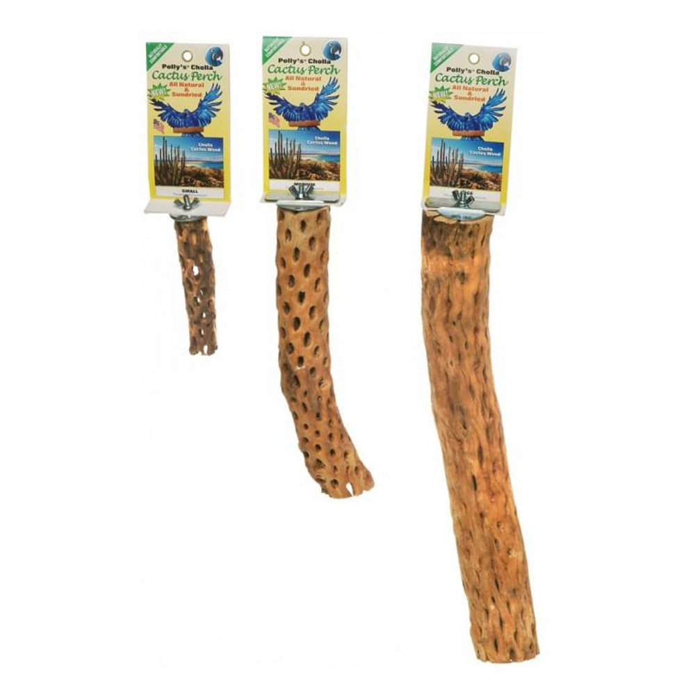 Pollys Pet Cholla Cactus Sun Dried Bird Perch Small 15cm - Image 2